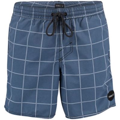 Shorts Baño O'Neill Symmetry Hombre - Azules - Chile YHX941825